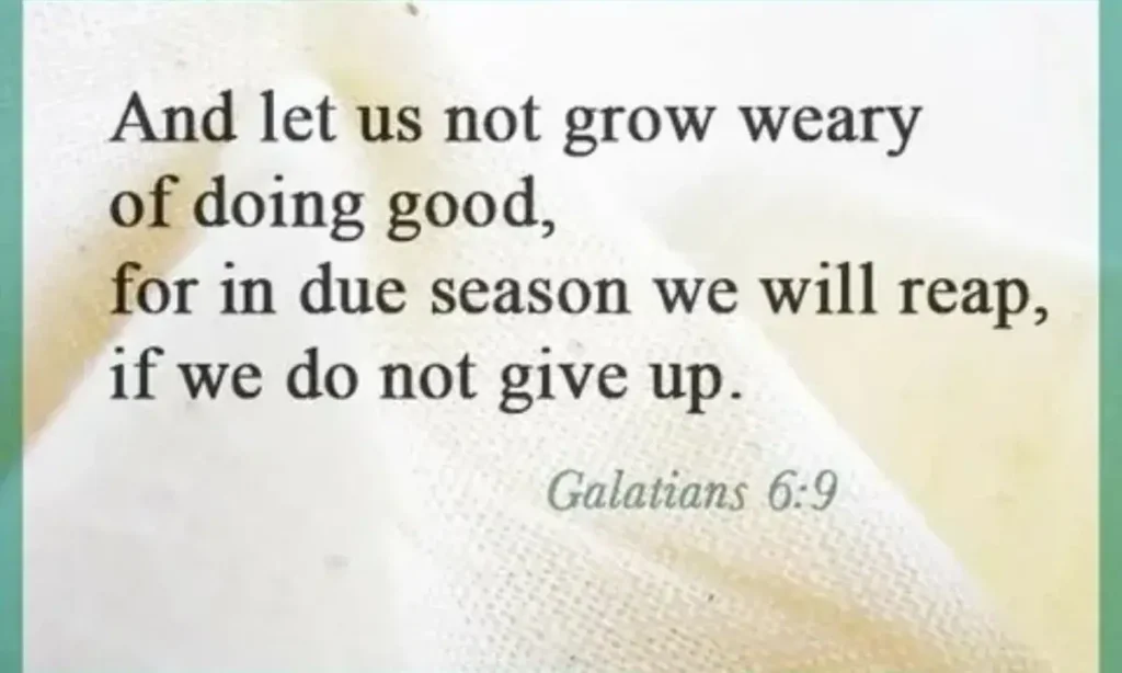 36 bible verses about power given to man