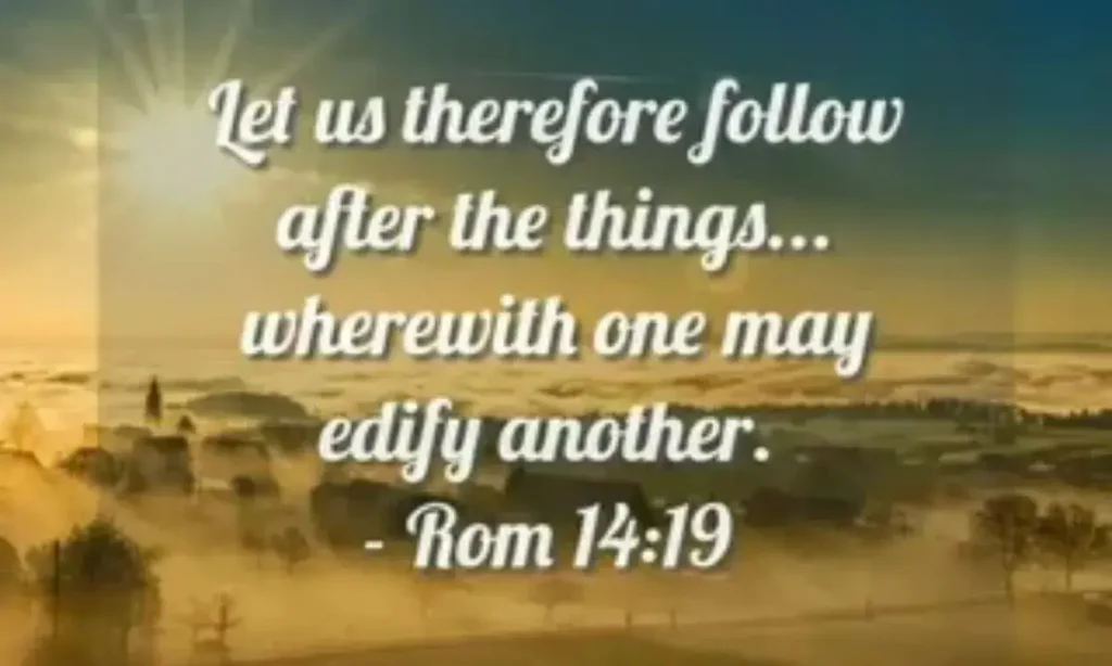 37 Bible Verses About Everything Happens For A Reason