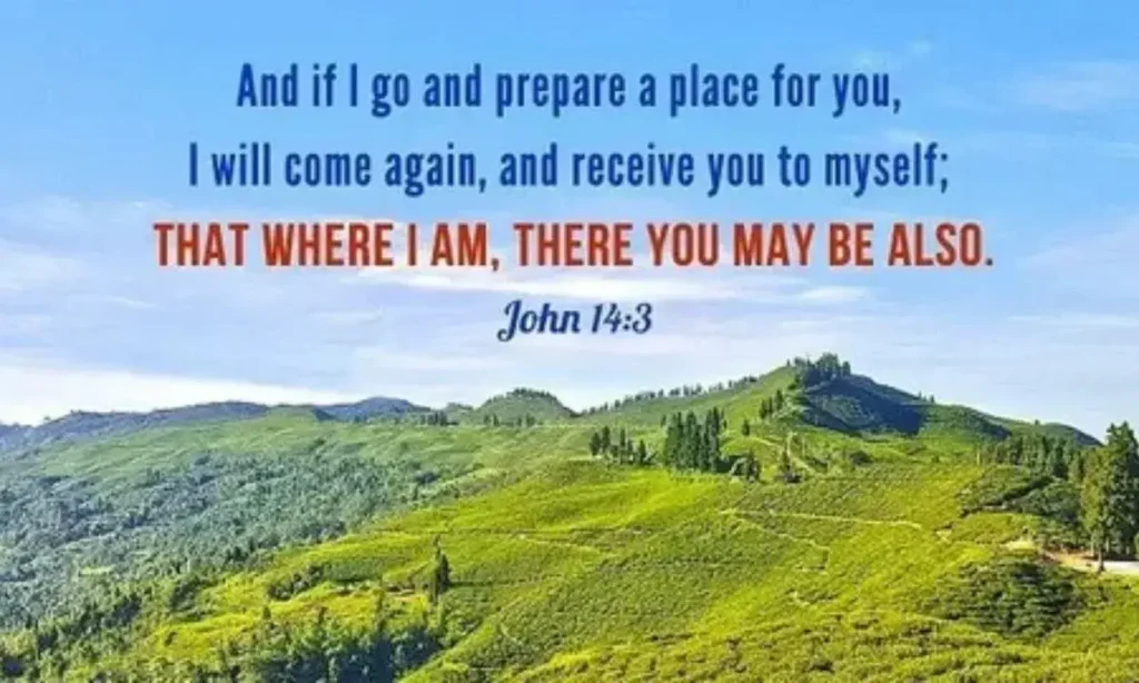 38 Bible Verses About Welcoming Visitors (Explained)